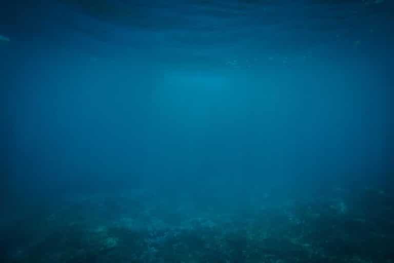Temporibus nemo autem placeat velit explicabo